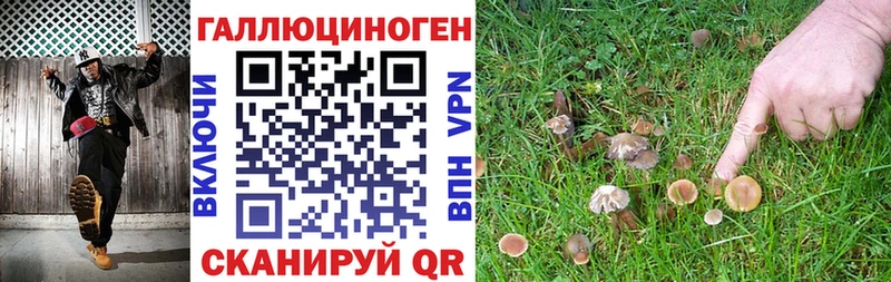 Купить  Верхоянск  Галлюциногенные грибы Psilocybe 